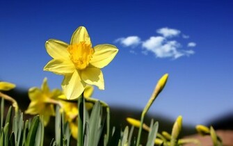 Lente Wallpaper HD