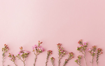 Photo Wallpaper Pink Flowers