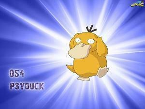 Psyduck Wallpaper