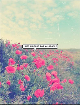 Pixel Quote Bubble