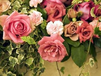 Beautiful Flower Wallpaper For You Spring