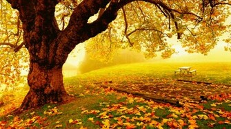 Pretty Autumn Day Computer Wallpaper Desktop Background