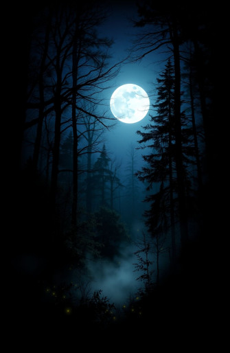 Dark Forest With Moon Wallpaper