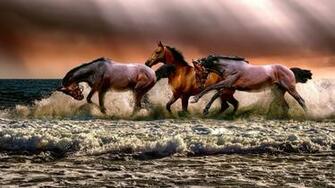 Cavalry Horses Running In Sea Shore Wallpaper Stream