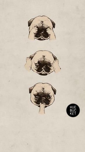 Pug Wallpaper Recherche Google
