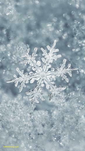 Wallpaper For iPhone Christmas Elegant Ice Snowflake