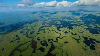 Wetland Aerial In Everglades National Park Florida Usa