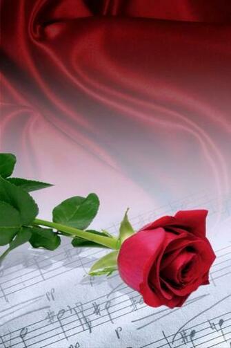 iPhone Wallpaper HD Rose Music