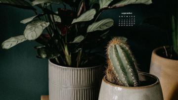 September Wallpaper Desktop Phone Calendars