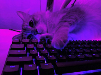Keyboard Wallpaper