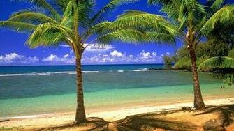 Wallpaper Hotel Lagoon Hawaii Image Tropical