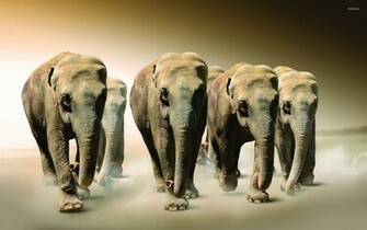 Go Back Image For Painted Indian Elephant Wallpaper