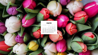 March Wallpaper Bies For Desktop Phones