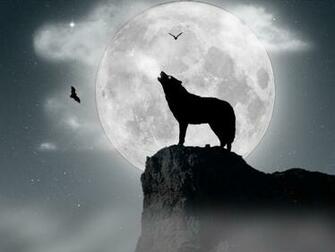 Wolf Under Full Moon