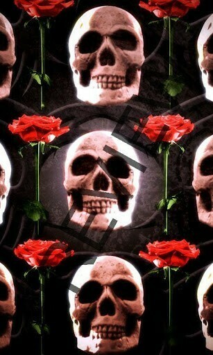 Vampire Red Roses Skull Android Background Wallpaper And Home Lock