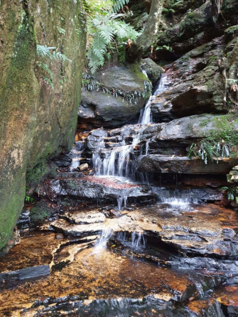 Take In The Beautiful S Of Blue Mountains National Park Wallpaper