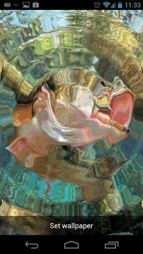 Bigger Bass Fish Live Wallpaper For Android Screenshot