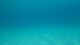 Botpost Beautiful Clear Blue Water In The Caribbean I