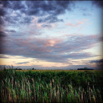 Ohio Summer Sunset Beautiful Nature Countryside