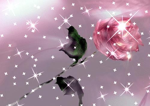 Pink Sparkle Animated Rose Wallpaper And Background