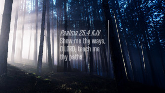Psalms Kjv 4k Wallpaper Shew Me Thy Ways O Lord Teach