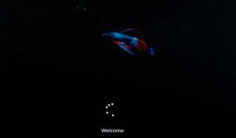 Windows Fish Logo Widescreen Background