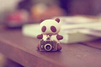 Adorable Camera Cute Dream Panda Photo Random Teddy Traveling