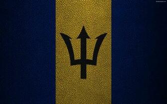 Wallpaper Flag Of Barbados 4k Leather Texture North