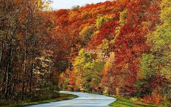 Fall Color Wallpaper