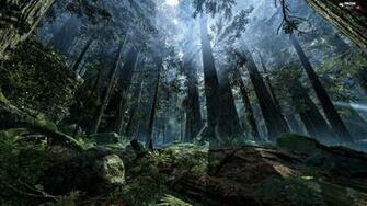 Planet Endor Game Fog Light Breaking Through Sky Forest Star