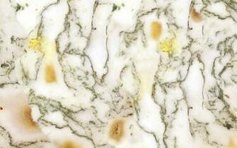 Gallery For Marble Computer Wallpaper