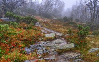 Rocks Path Wallpaper Stock Photos