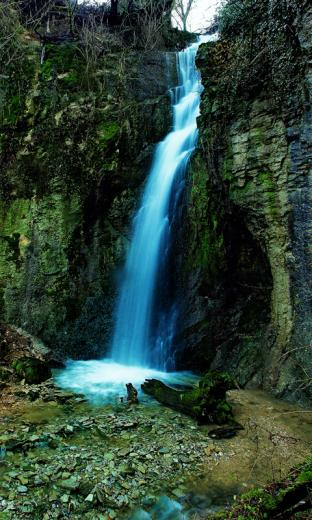 Waterfalls In The Jungle HD Live Wallpaper For