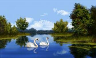 Swan Lake With Real Swans Desktop Background