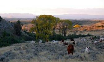 For Montana Landowners Lease Rates On The Rise Fay Ranches