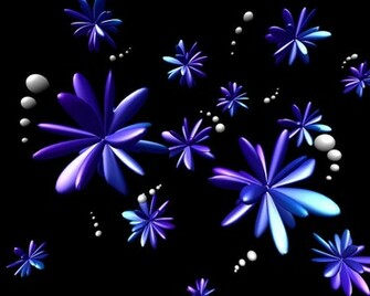 Wallpaper Photo Discovery Html