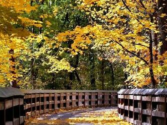 Scenery Wallpaper Shows An Autumn Scene Hope Lies Not Far