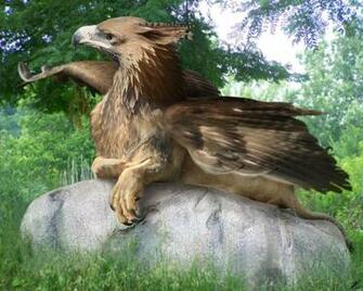 Griffin Computer Wallpaper Desktop Background Id