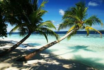 Pin Maldives Resort City Wallpaper