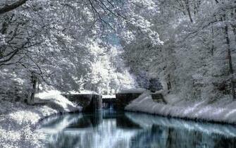 Jami Burch Winter Scene Wallpaper