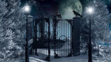 Winter Night Background Group