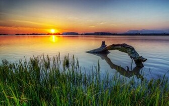 Loch Ness Monster By Ivanandreevich