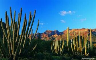 Wallpaper Desert Scenery Index
