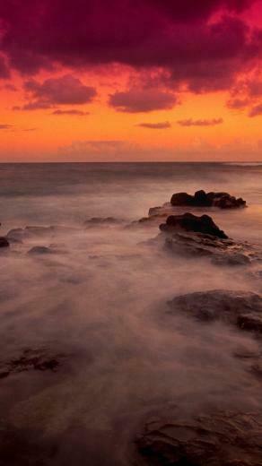 Mystical Reef iPhone 5s Wallpaper iPad