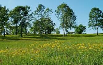 Spring Wallpaper Photography Desktop