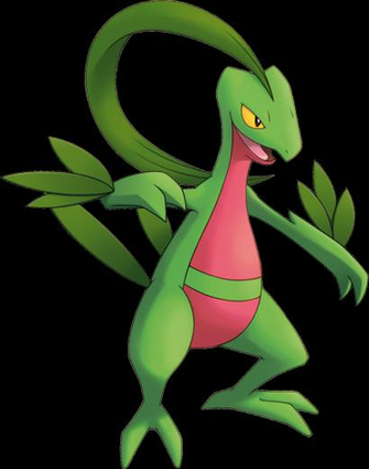Grovyle Mystery Dungeon Pok Mon Powered By Wikia