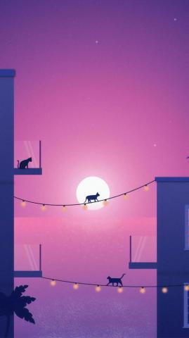 Cat Wallpaper Top Best Cats Background