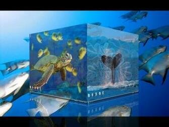 Desktop Clutter A Windows Guide To Transform 2d Monitor Into 3d