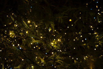 Wallpaper Id A Christmas Tree With Fairy Lights On It In