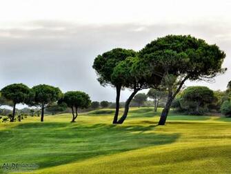 Golf Course